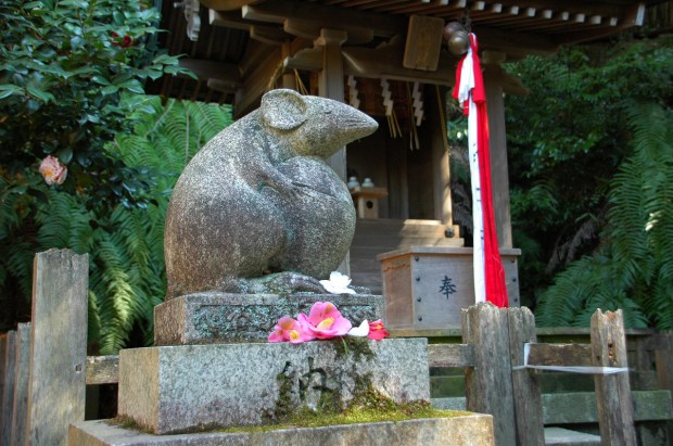 20140414 101　高麗鼠（こまねずみ）　大豊神社