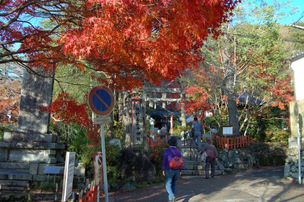 14.11.29 (84)熊野若王子神社
